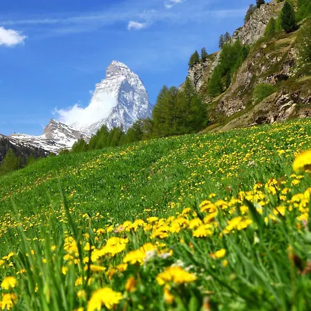 Apartment Blauherd By Interhome Zermatt
